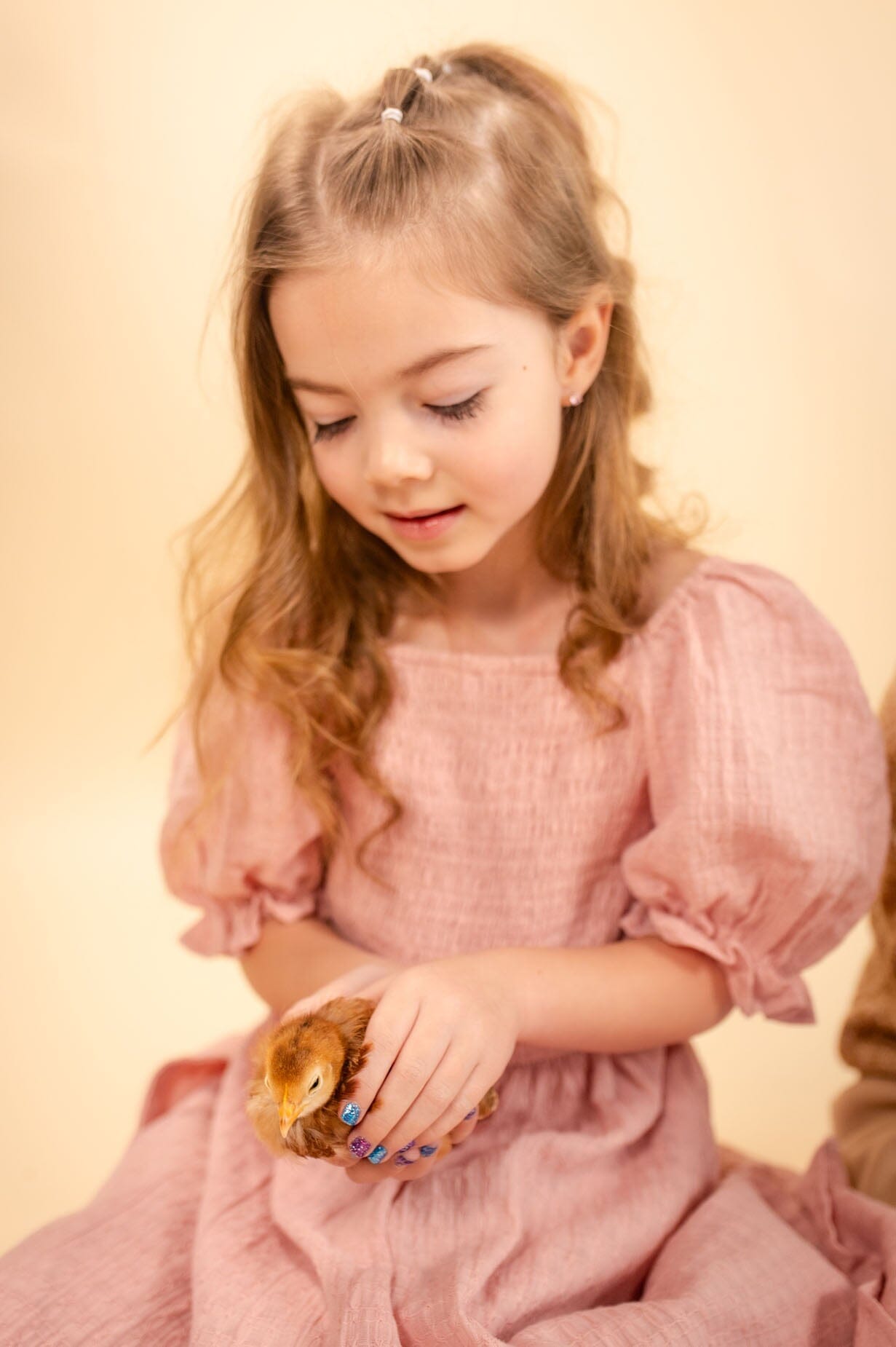 The Little Bayler Modest Dresses vendor-unknown