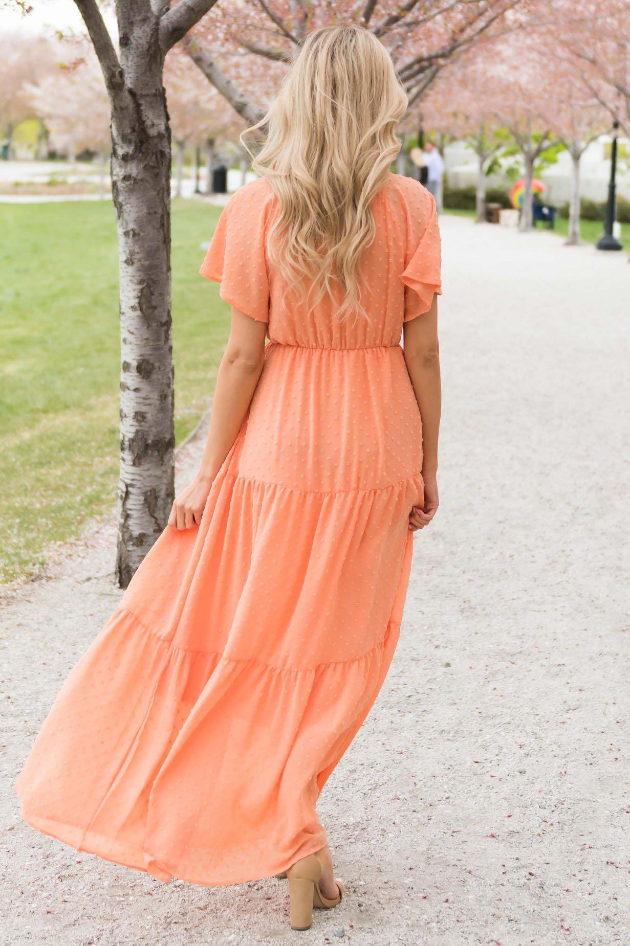 The Haliegh Swiss Dot Modest Dresses vendor-unknown