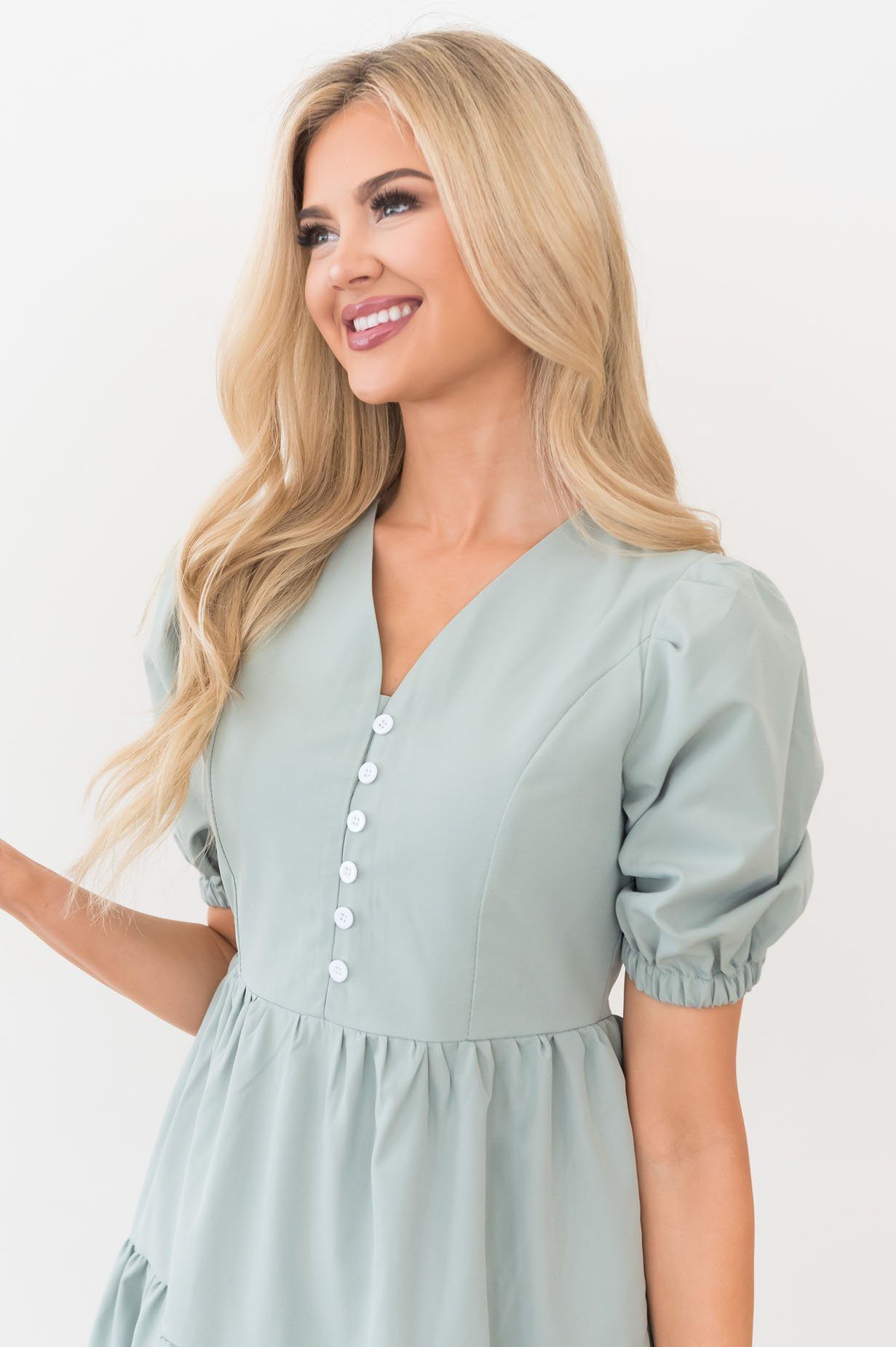 The Dionne Modest Dresses vendor-unknown