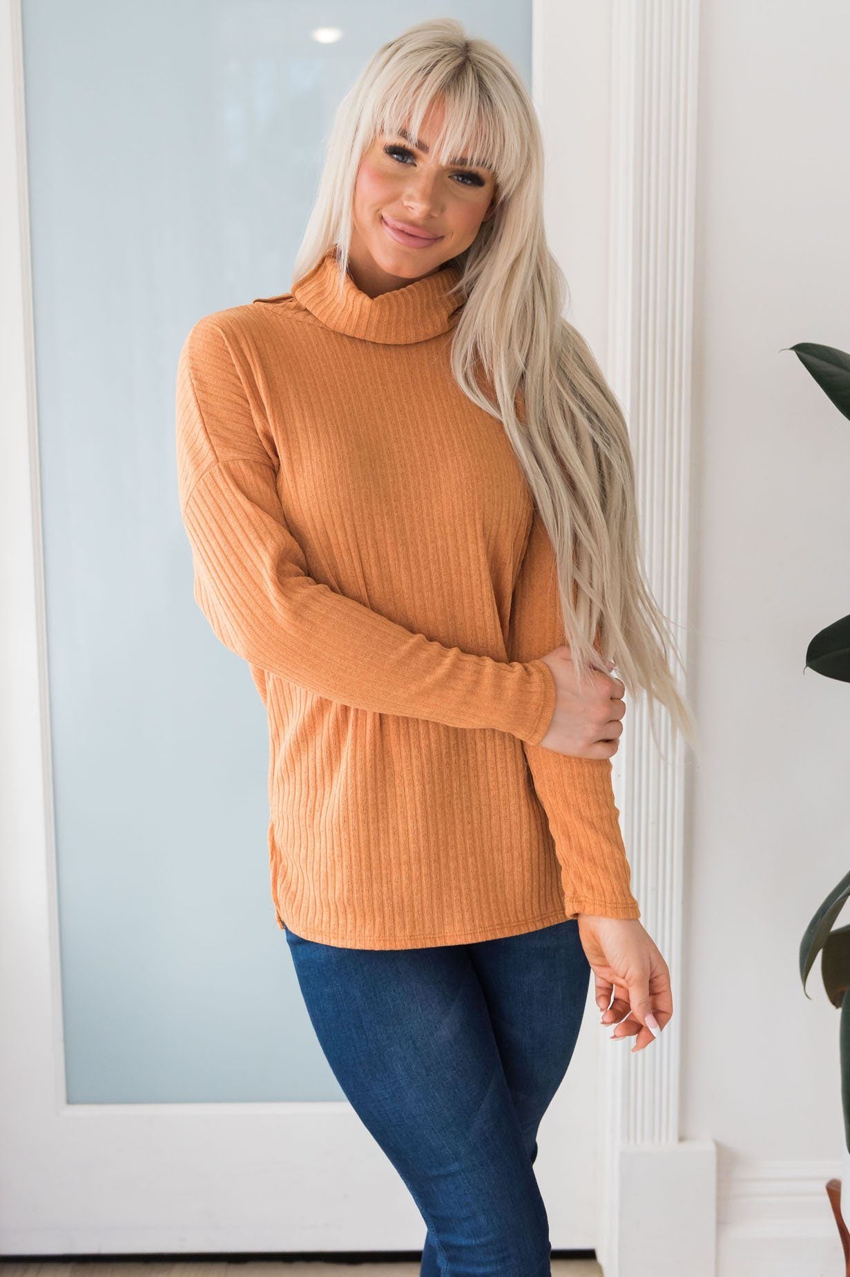 Cozy Basic Modest Turtleneck Modest Dresses vendor-unknown