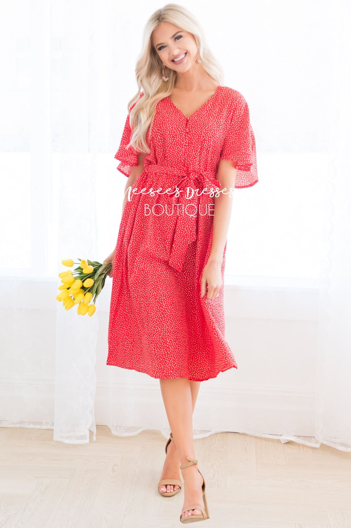 The Ashlyn Modest Dresses vendor-unknown