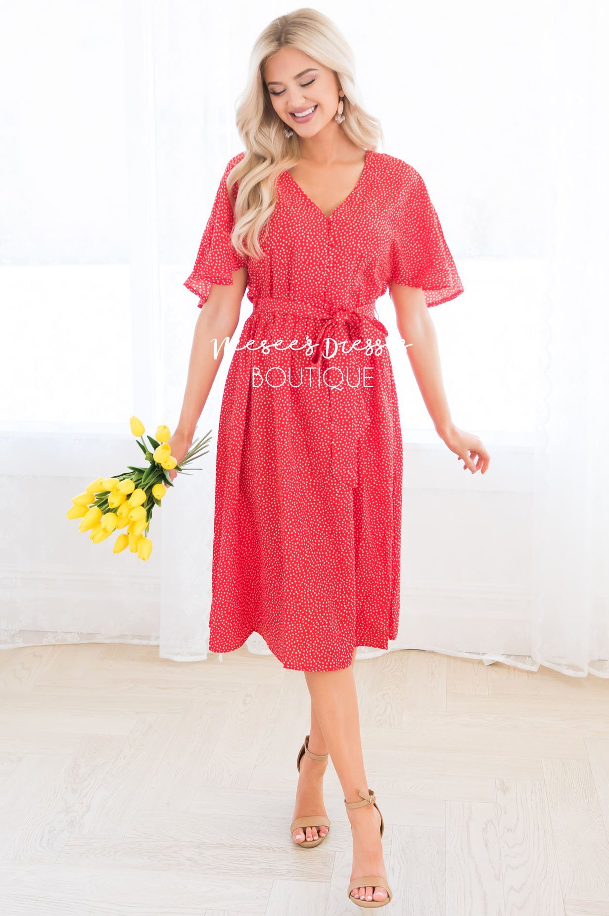 The Ashlyn Modest Dresses vendor-unknown