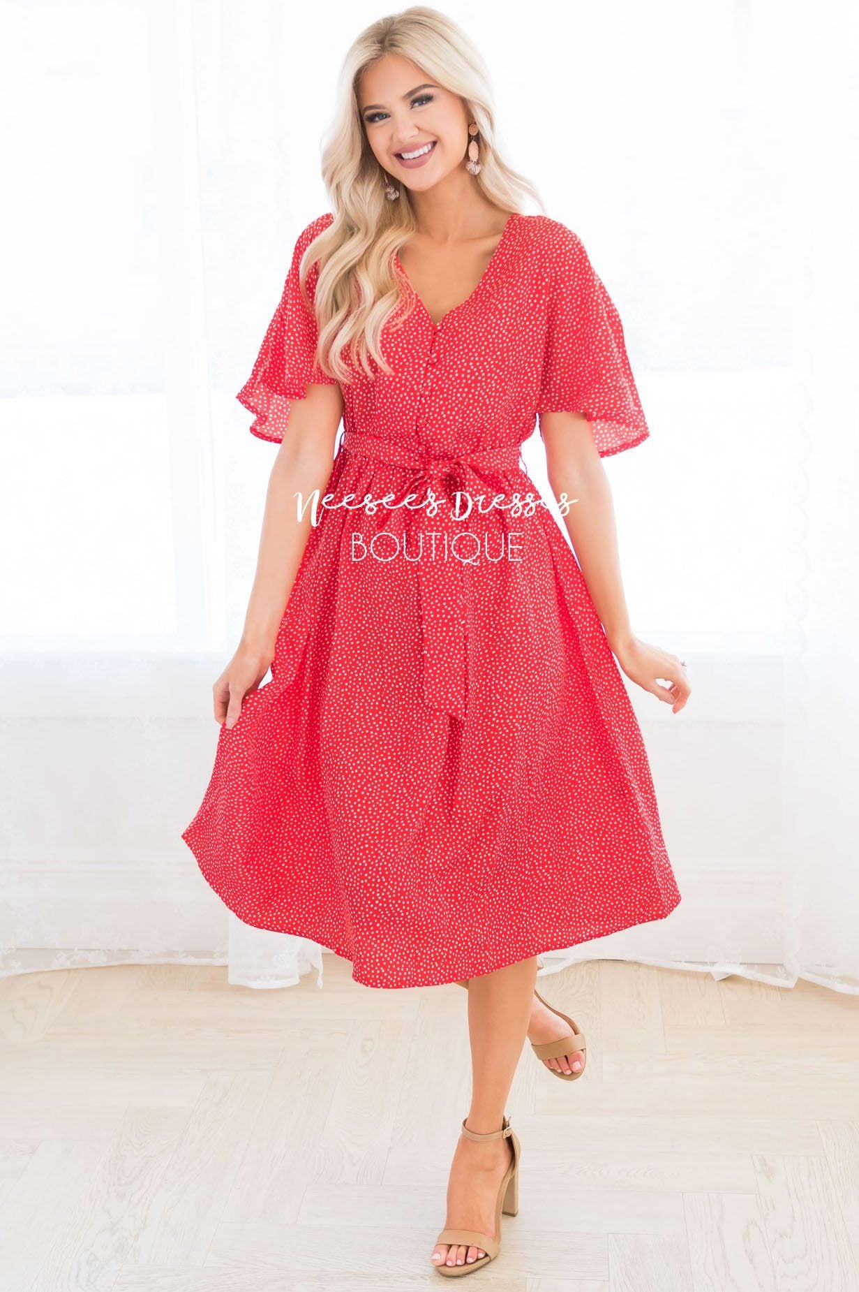 The Ashlyn Modest Dresses vendor-unknown