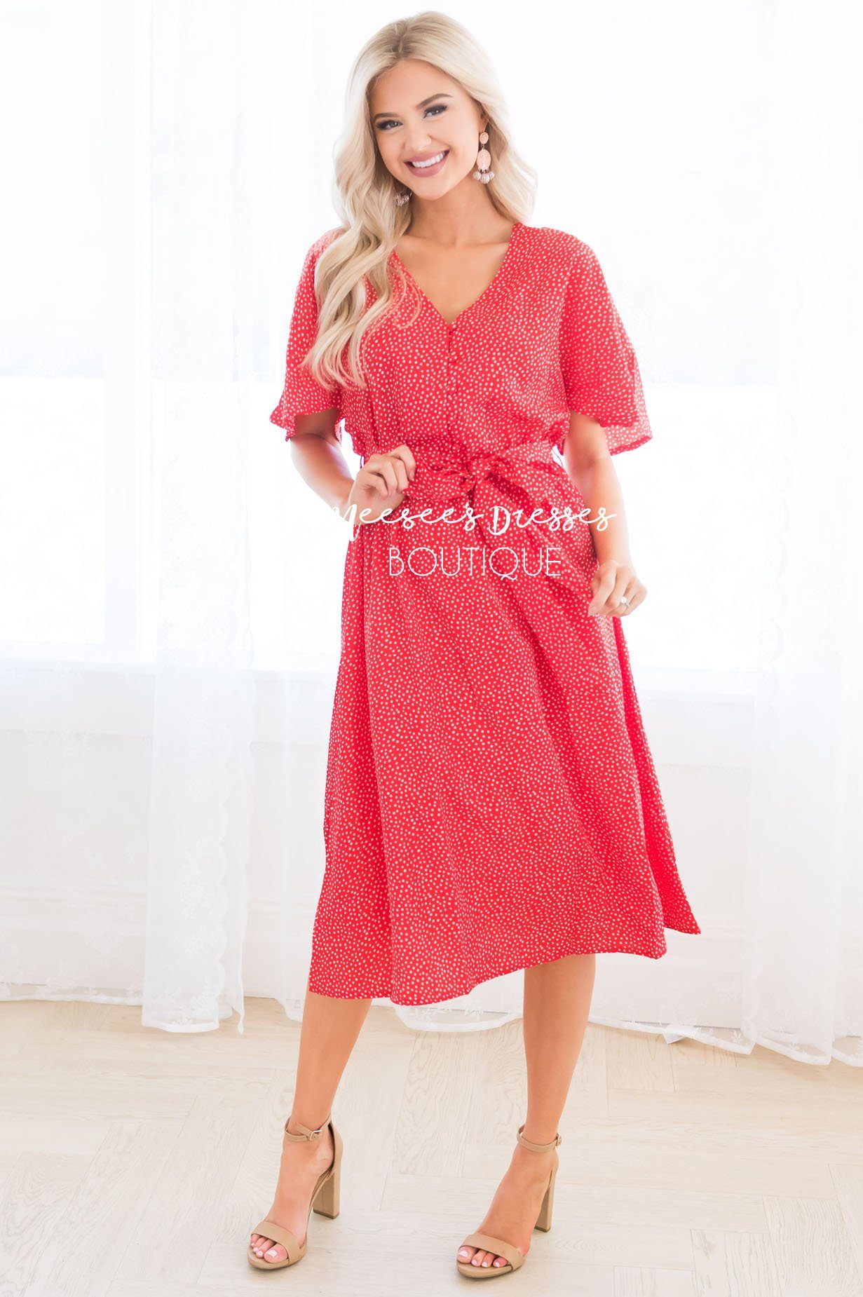 The Ashlyn Modest Dresses vendor-unknown