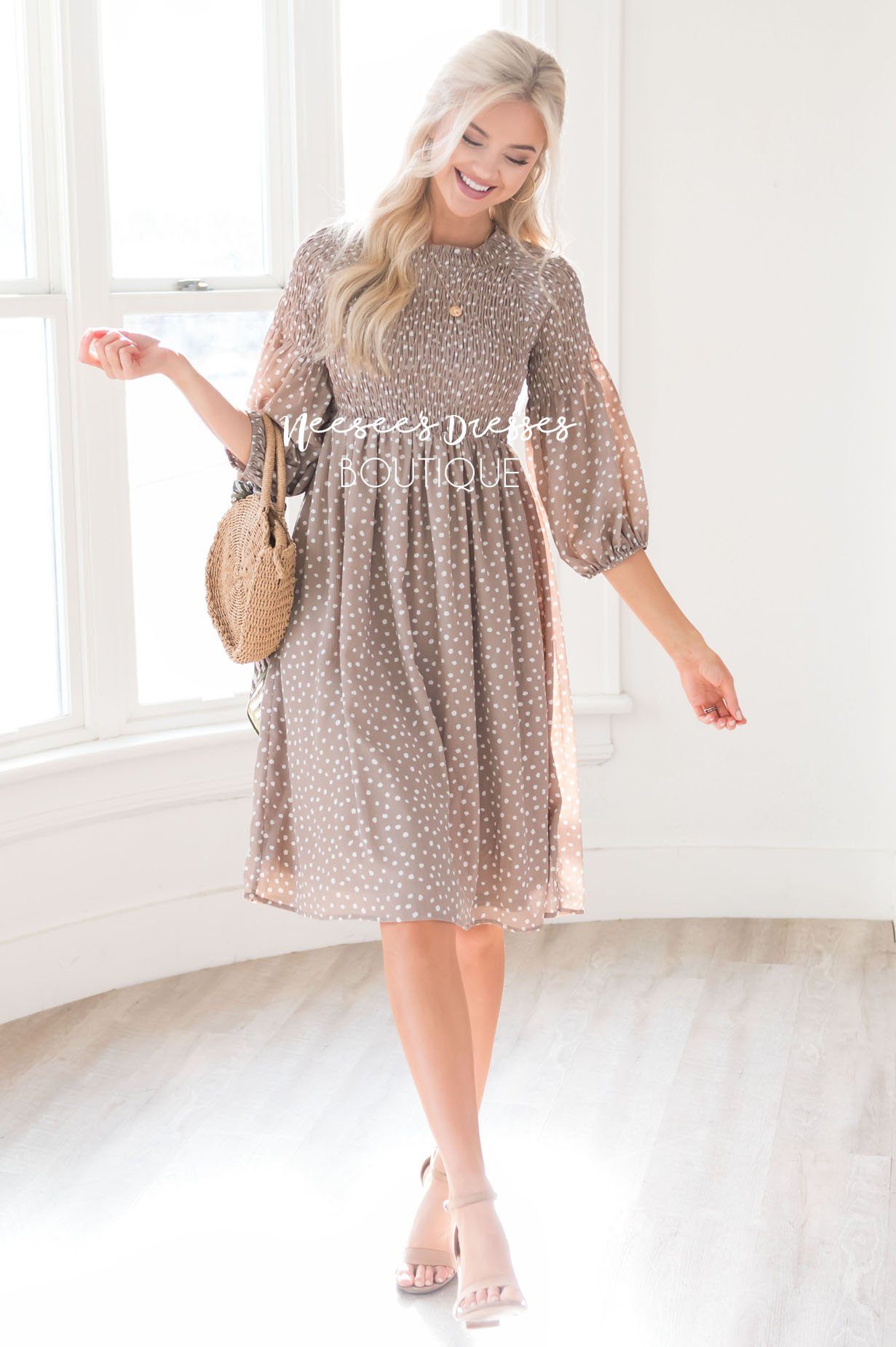 The Ceceila Modest Dresses vendor-unknown