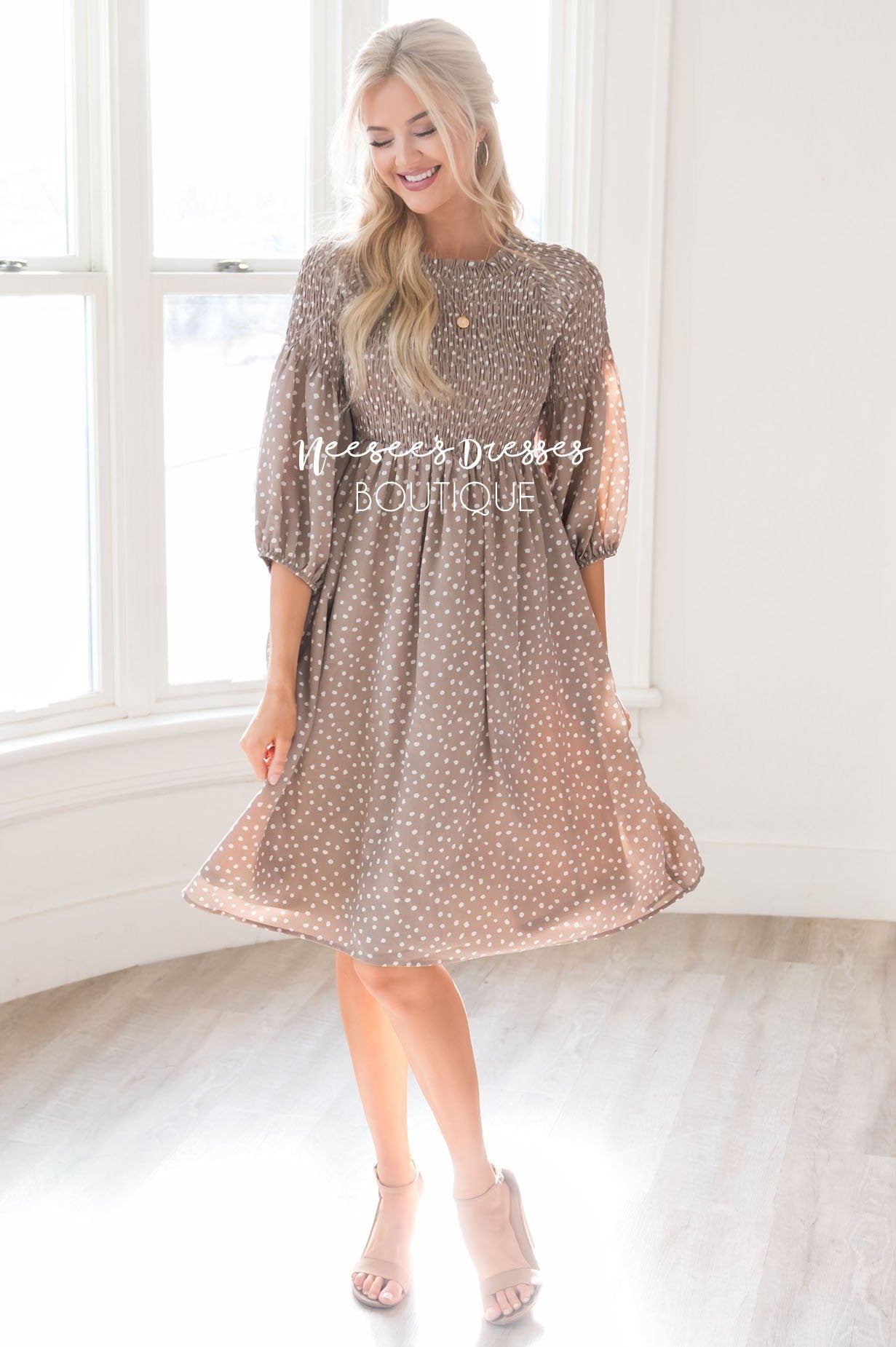 The Ceceila Modest Dresses vendor-unknown