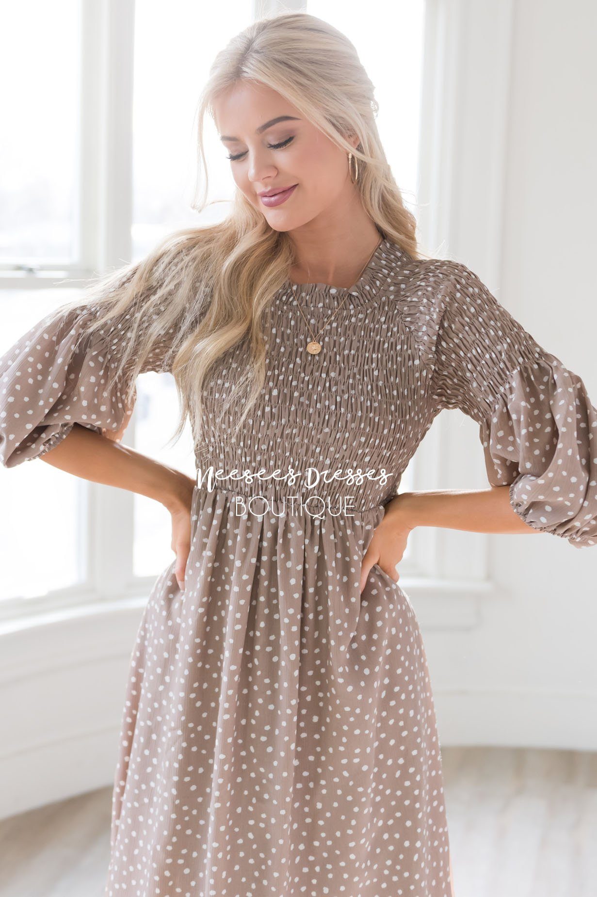 The Ceceila Modest Dresses vendor-unknown