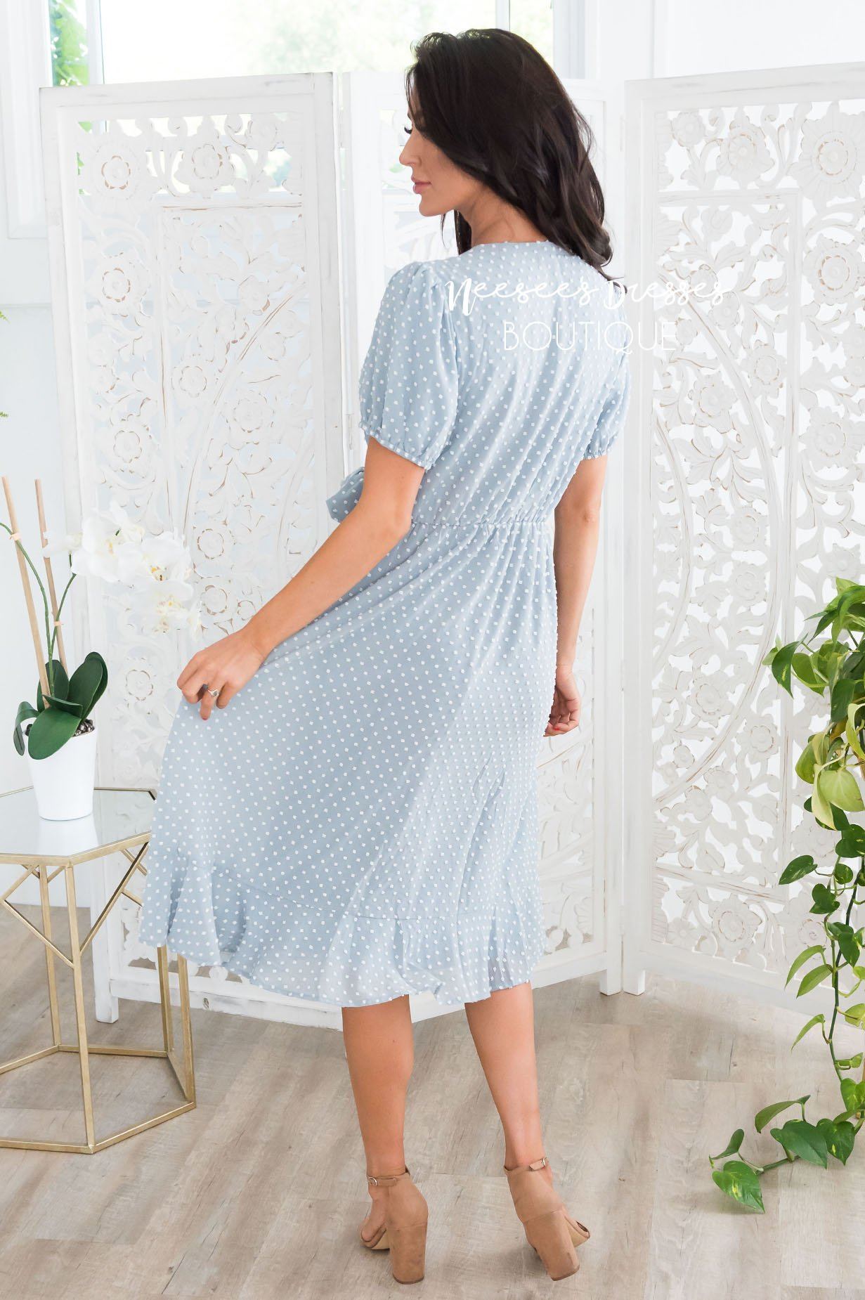 The Camilyn Modest Dresses vendor-unknown