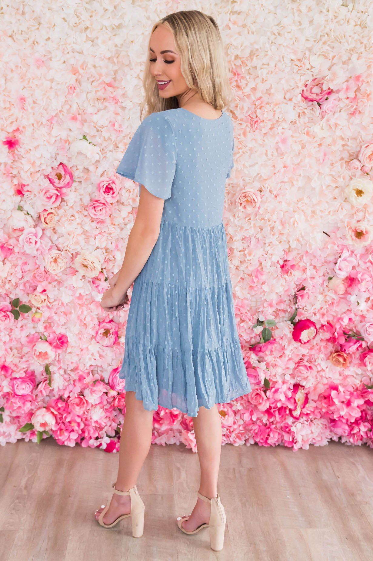 The Hannah Modest Dresses vendor-unknown