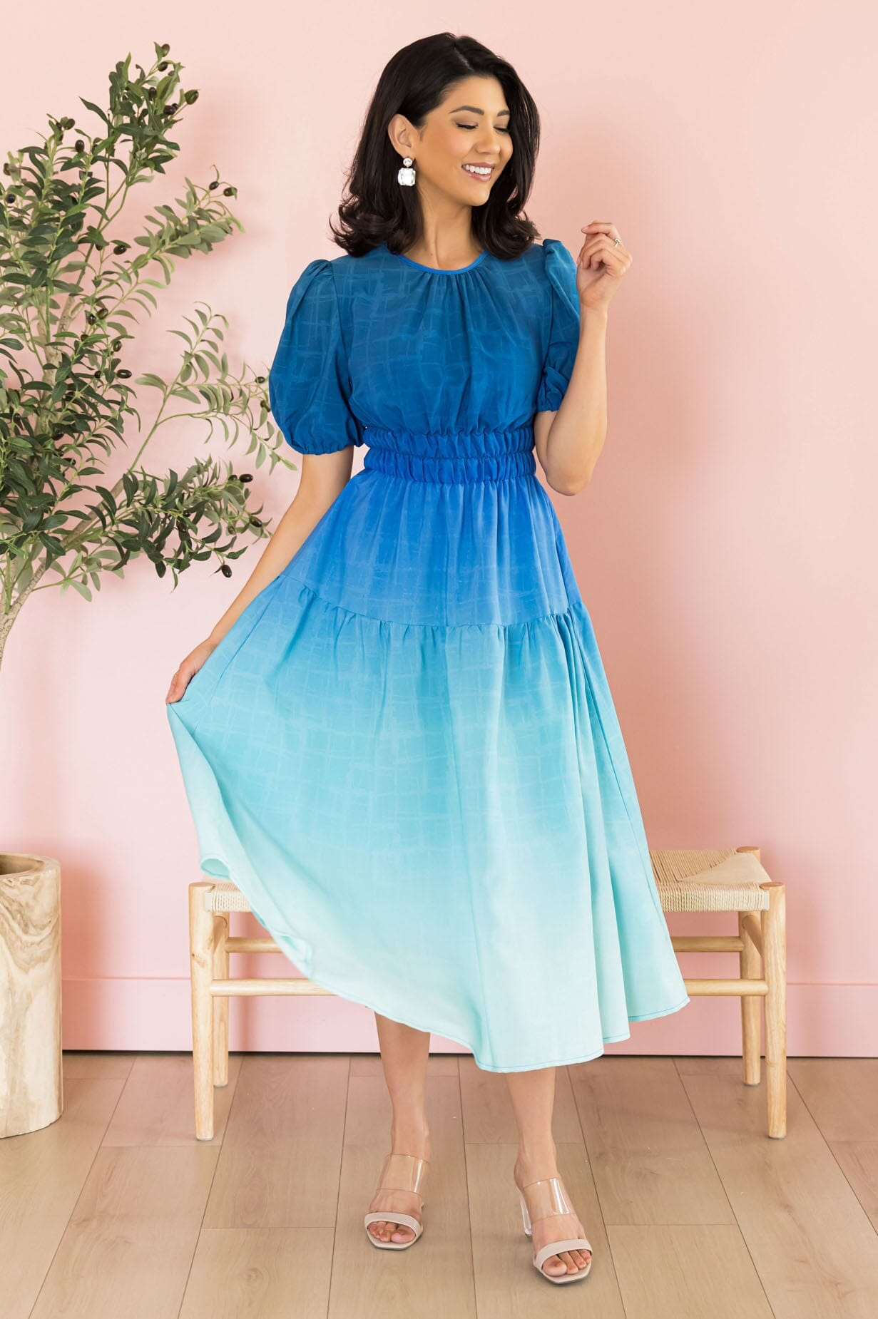 The SeAnne Modest Dresses vendor-unknown 