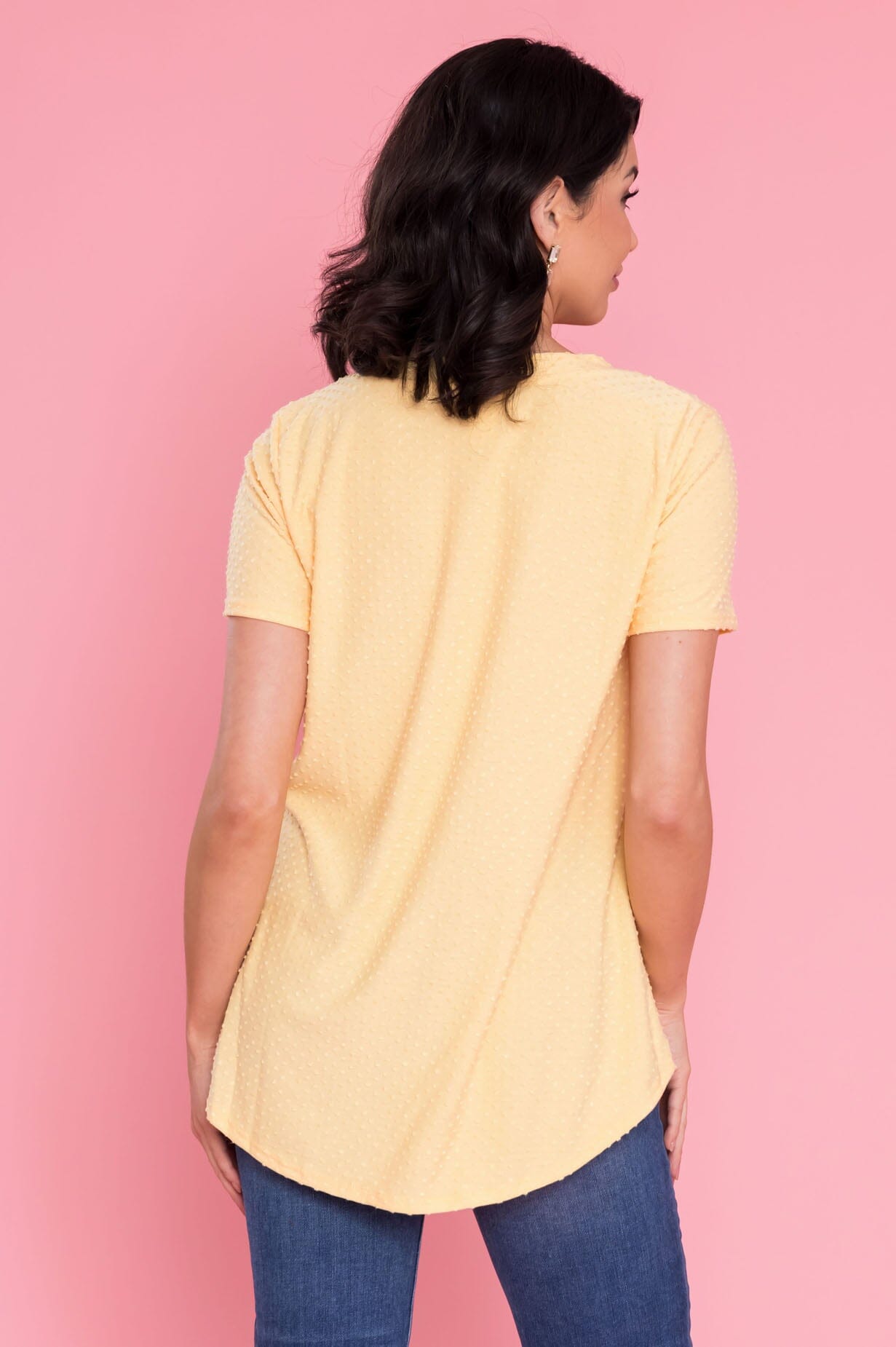 A Little Swiss Dot & Cheer V-Neck Top Modest Dresses vendor-unknown 