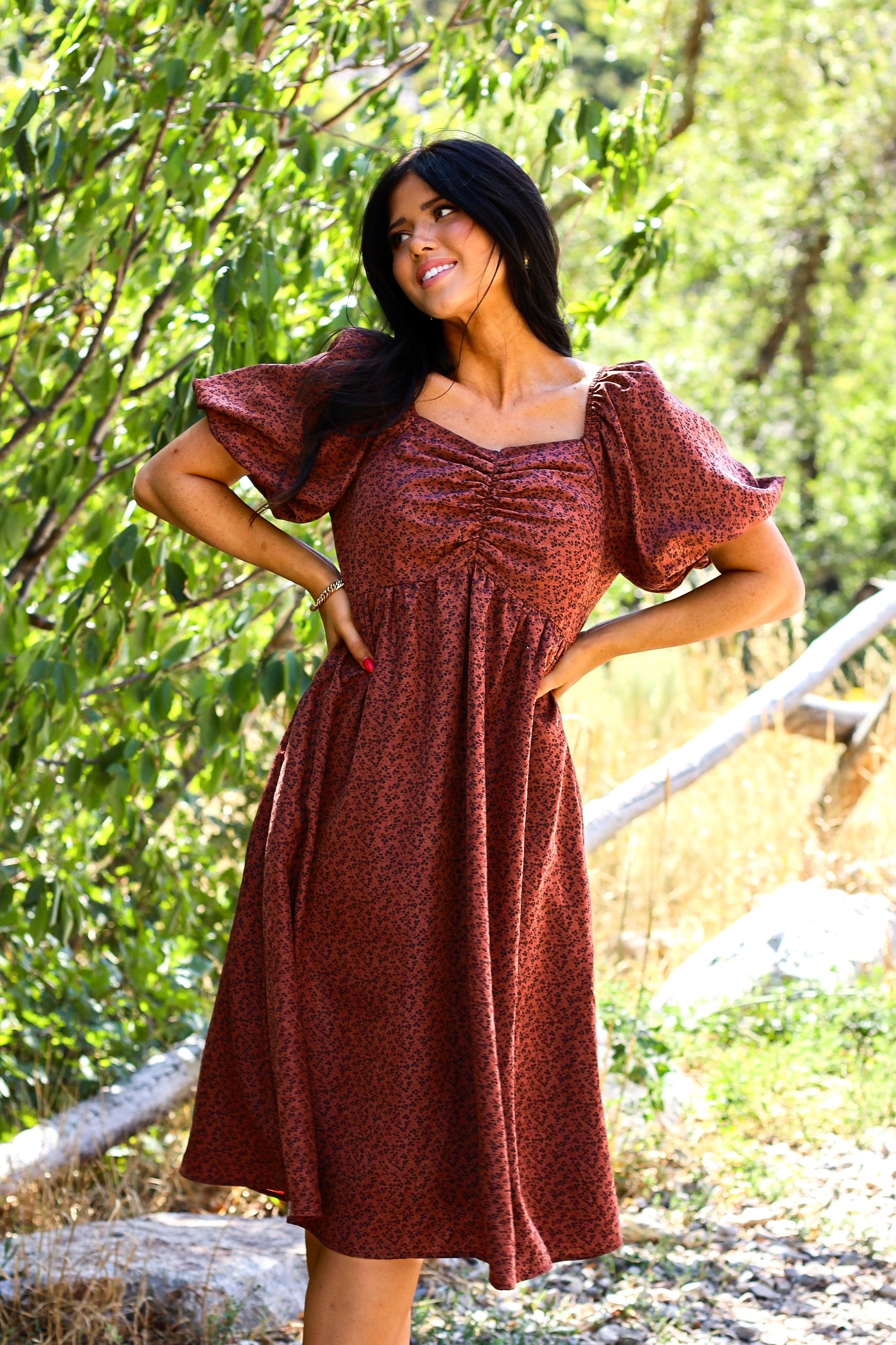 The Charette Modest Midi Dress