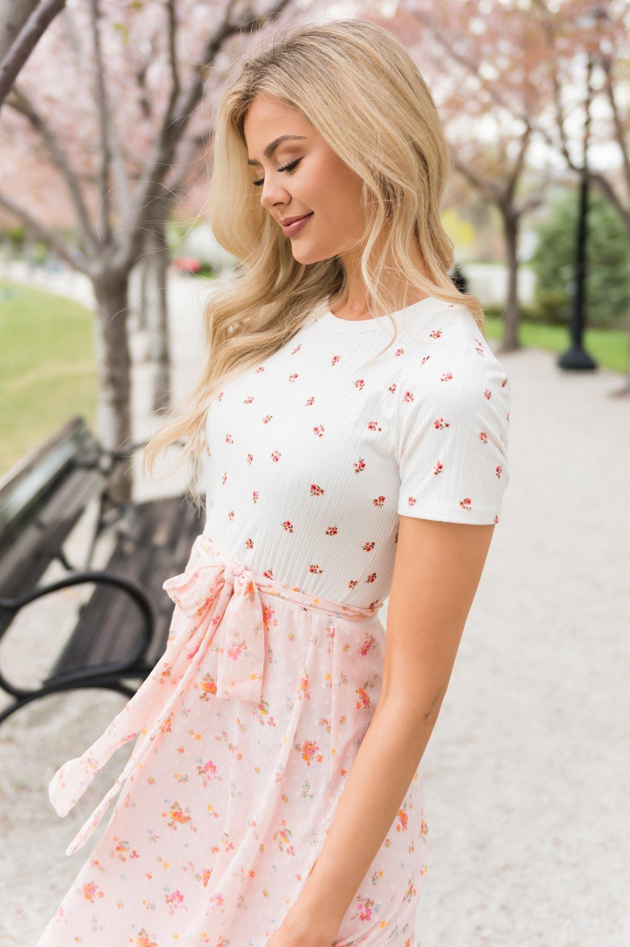 The Caydence Modest Dresses vendor-unknown 