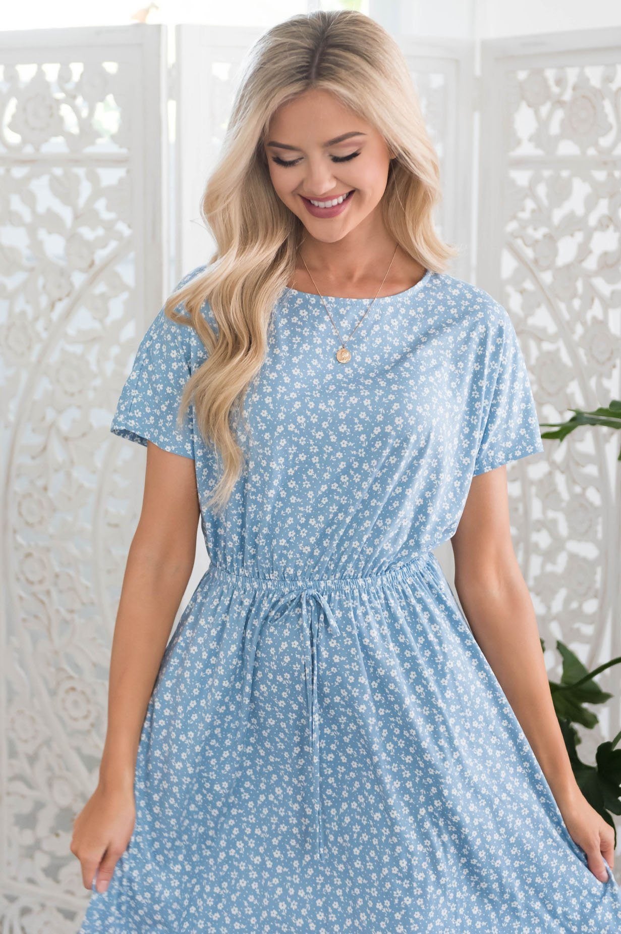 The Lia Modest Dresses vendor-unknown 