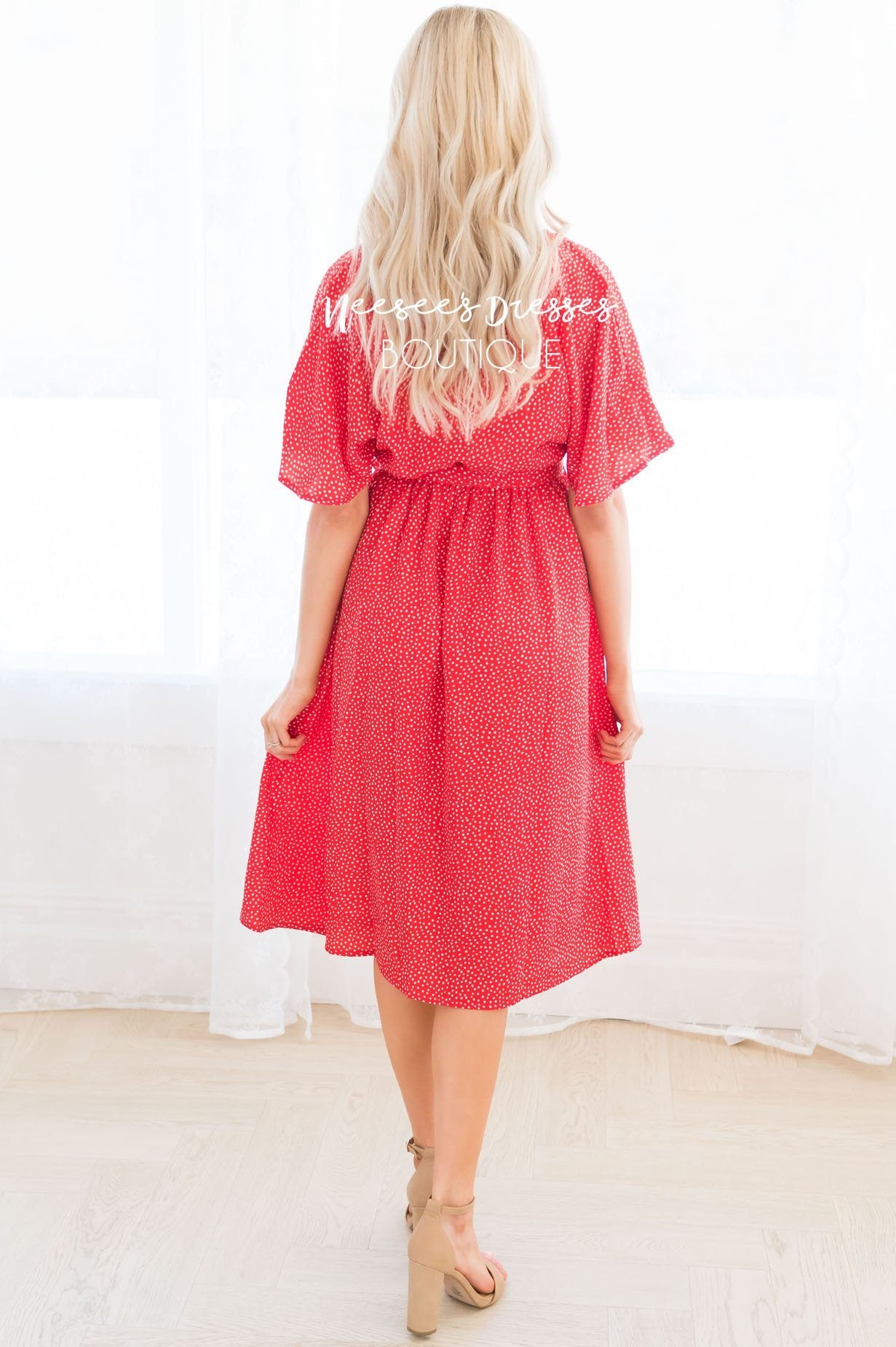 The Ashlyn Modest Dresses vendor-unknown 