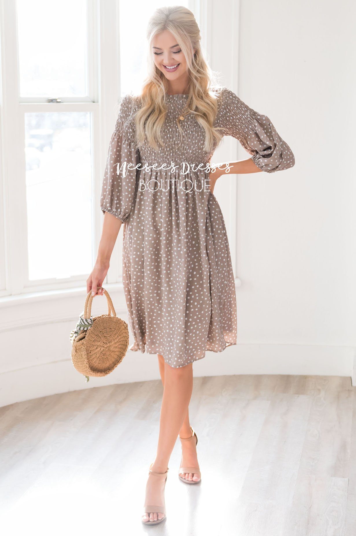 The Ceceila Modest Dresses vendor-unknown 