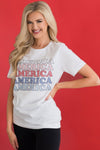 AMERICA Ombre Modest Graphic Tee Modest Dresses vendor-unknown