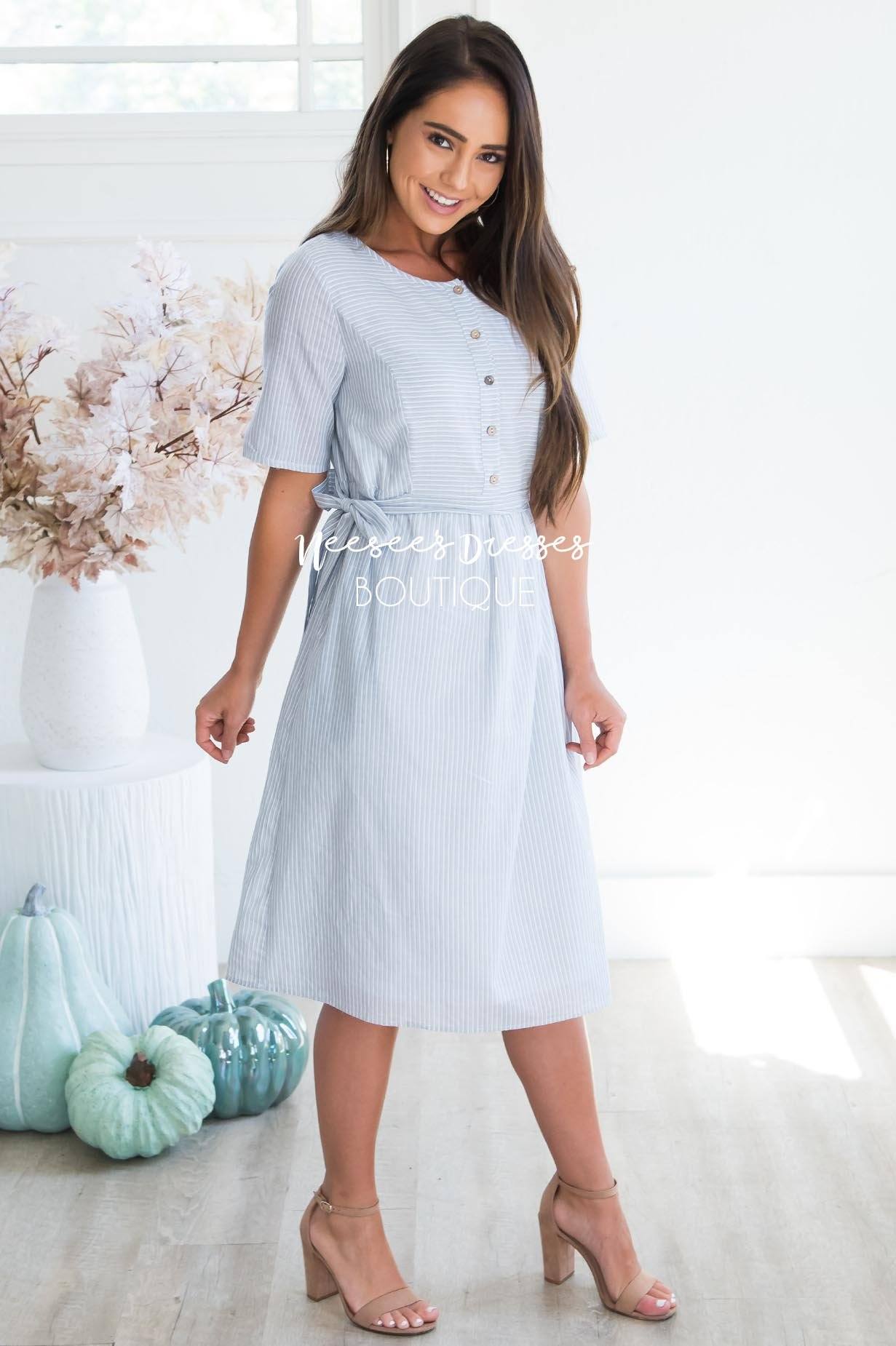 The Janie Modest Dresses vendor-unknown 