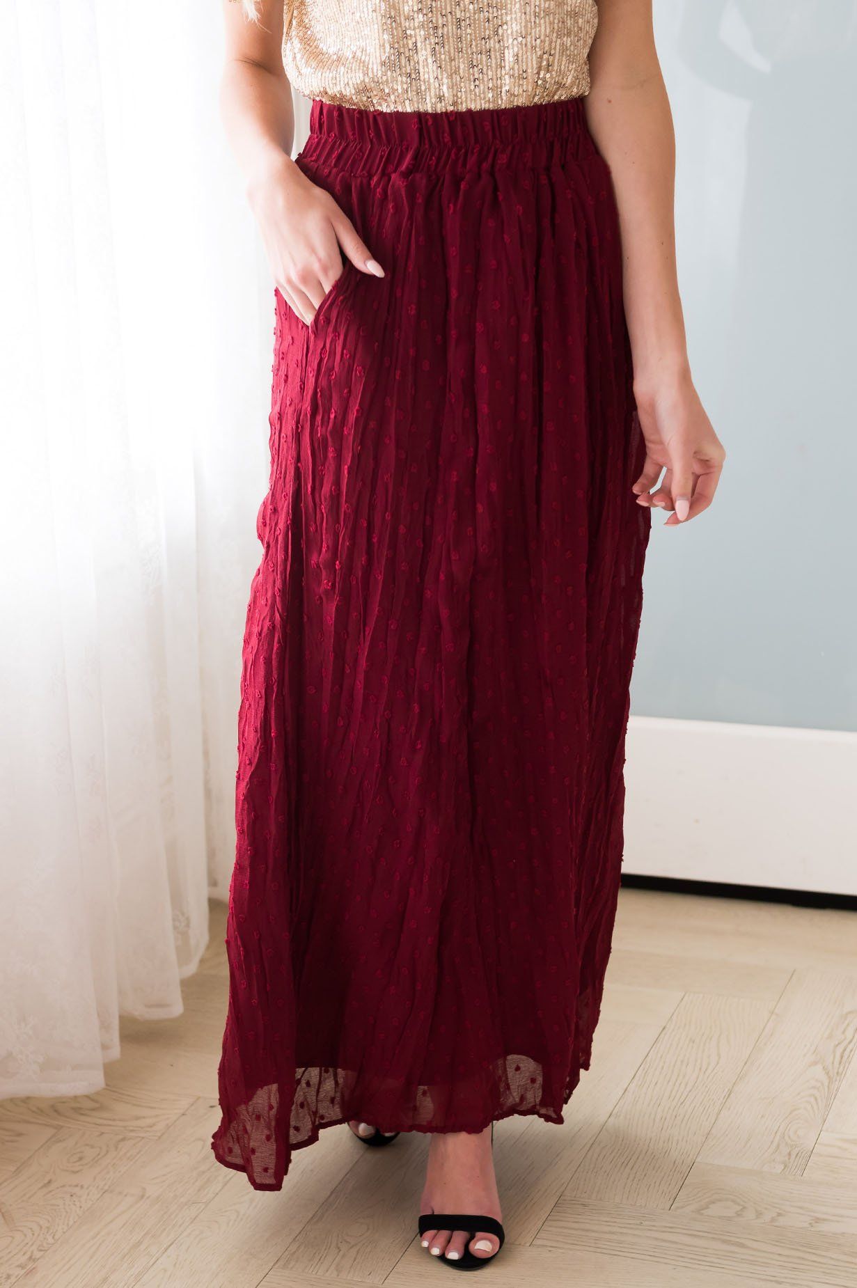 Spring Garden Swiss Dot Skirt Modest Dresses vendor-unknown 