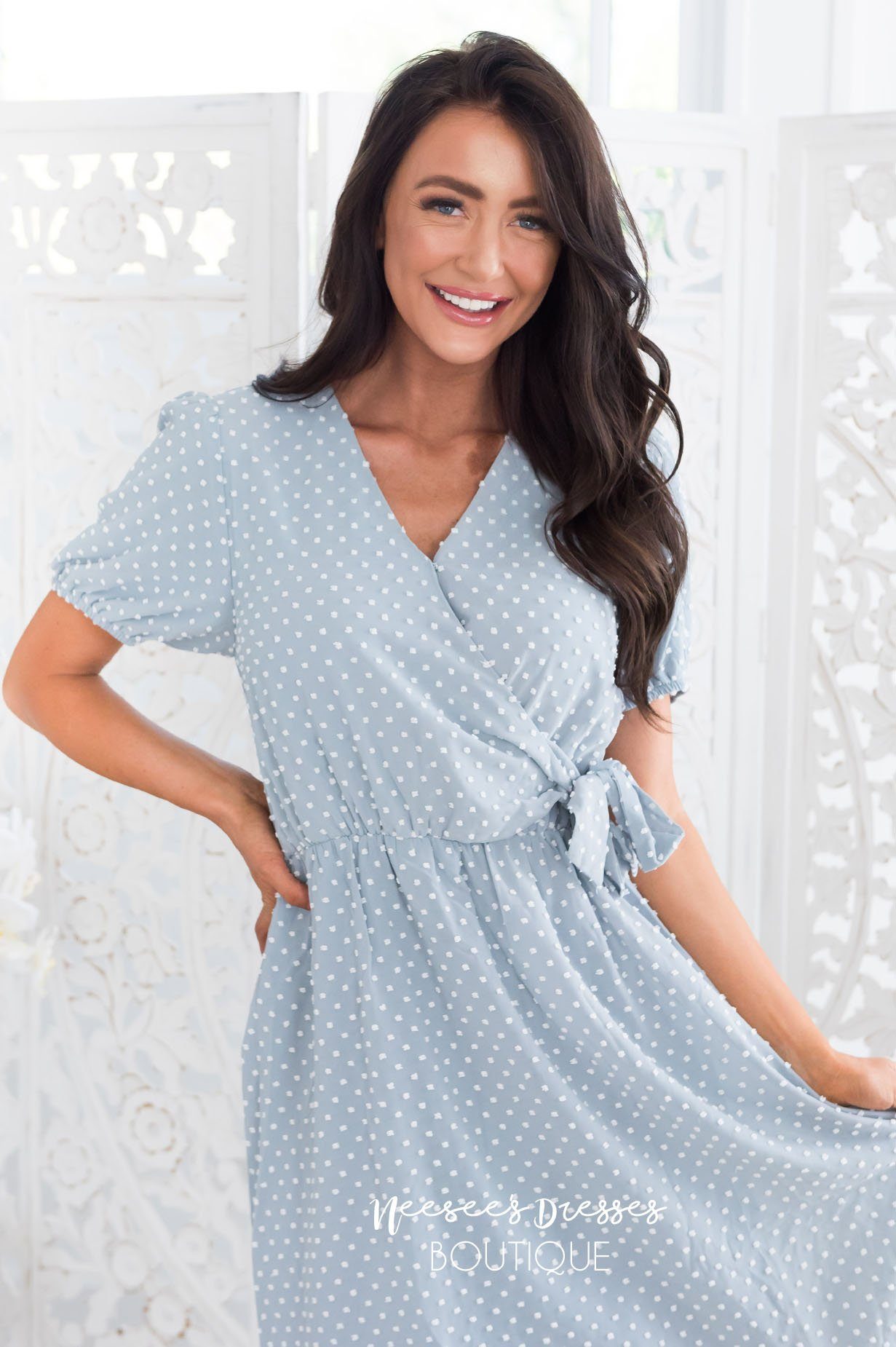 The Camilyn Modest Dresses vendor-unknown 